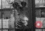 Standbild Streik bei Zoo Bronx New York City USA, 1961, aus Sekunde 36 historischem Filmmaterial Videoclip 65675055791