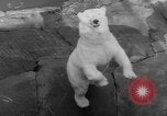 Standbild Streik bei Zoo Bronx New York City USA, 1961, aus Sekunde 53 historischem Filmmaterial Videoclip 65675055791