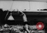 Immagine di I ginnasti dimostrare Bad Kissingen Germania, 1959, secondo 36 filmato di repertorio 65675055802