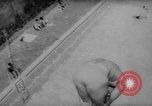 Immagine di I ginnasti dimostrare Bad Kissingen Germania, 1959, secondo 57 filmato di repertorio 65675055802