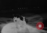 Standbild Ice Capades Atlantic City New Jersey USA, 1959, aus Sekunde 43 historischem Filmmaterial Videoclip 65675055803