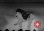 Standbild Ice Capades Atlantic City New Jersey USA, 1959, aus Sekunde 48 historischem Filmmaterial Videoclip 65675055803