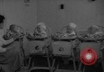 Image of quadruplets in cots Holland Netherlands, 1959, second 10 stock footage video 65675055806