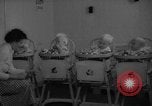 Image of quadruplets in cots Holland Netherlands, 1959, second 11 stock footage video 65675055806