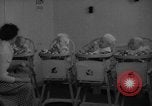 Image of quadruplets in cots Holland Netherlands, 1959, second 13 stock footage video 65675055806