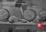 Image of quadruplets in cots Holland Netherlands, 1959, second 37 stock footage video 65675055806