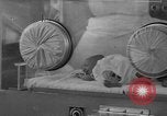 Image of quadruplets in cots Holland Netherlands, 1959, second 40 stock footage video 65675055806