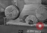 Image of quadruplets in cots Holland Netherlands, 1959, second 43 stock footage video 65675055806
