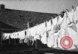 Image of quadruplets in cots Holland Netherlands, 1959, second 44 stock footage video 65675055806