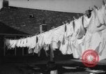 Image of quadruplets in cots Holland Netherlands, 1959, second 45 stock footage video 65675055806
