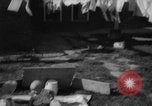 Image of quadruplets in cots Holland Netherlands, 1959, second 46 stock footage video 65675055806