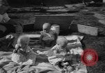 Image of quadruplets in cots Holland Netherlands, 1959, second 48 stock footage video 65675055806