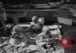 Image of quadruplets in cots Holland Netherlands, 1959, second 49 stock footage video 65675055806
