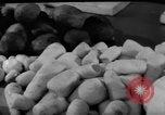 Standbild Armee cook Moskau Russland Sowjetunion, 1961, aus Sekunde 30 historischem Filmmaterial Videoclip 65675055814