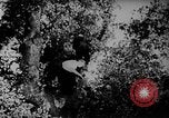 Standbild einstufige Rakete Russland, 1955, aus Sekunde 42 historischem Filmmaterial Videoclip 65675055817