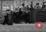 Immagine di Xvi annuale Rodeo Junior California United States USA, 1962, secondo 19 filmato di repertorio 65675055836