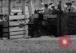 Immagine di Xvi annuale Rodeo Junior California United States USA, 1962, secondo 20 filmato di repertorio 65675055836