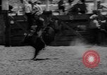 Immagine di Xvi annuale Rodeo Junior California United States USA, 1962, secondo 23 filmato di repertorio 65675055836