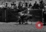 Immagine di Xvi annuale Rodeo Junior California United States USA, 1962, secondo 30 filmato di repertorio 65675055836
