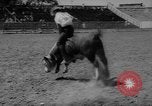 Immagine di Xvi annuale Rodeo Junior California United States USA, 1962, secondo 35 filmato di repertorio 65675055836