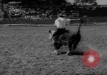 Immagine di Xvi annuale Rodeo Junior California United States USA, 1962, secondo 36 filmato di repertorio 65675055836
