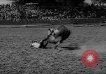 Immagine di Xvi annuale Rodeo Junior California United States USA, 1962, secondo 37 filmato di repertorio 65675055836