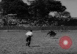 Immagine di Xvi annuale Rodeo Junior California United States USA, 1962, secondo 40 filmato di repertorio 65675055836