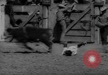 Immagine di Xvi annuale Rodeo Junior California United States USA, 1962, secondo 46 filmato di repertorio 65675055836