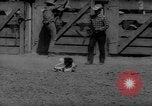 Immagine di Xvi annuale Rodeo Junior California United States USA, 1962, secondo 47 filmato di repertorio 65675055836