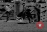Immagine di Xvi annuale Rodeo Junior California United States USA, 1962, secondo 50 filmato di repertorio 65675055836