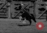 Immagine di Xvi annuale Rodeo Junior California United States USA, 1962, secondo 51 filmato di repertorio 65675055836