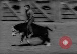 Immagine di Xvi annuale Rodeo Junior California United States USA, 1962, secondo 53 filmato di repertorio 65675055836