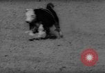 Immagine di Xvi annuale Rodeo Junior California United States USA, 1962, secondo 55 filmato di repertorio 65675055836