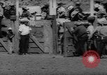 Immagine di Xvi annuale Rodeo Junior California United States USA, 1962, secondo 61 filmato di repertorio 65675055836