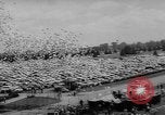 Image of Indianapolis 500 Mile Race Indianapolis Indiana USA, 1962, second 11 stock footage video 65675055841