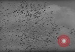 Image of Indianapolis 500 Mile Race Indianapolis Indiana USA, 1962, second 12 stock footage video 65675055841