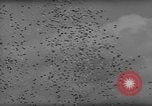 Image of Indianapolis 500 Mile Race Indianapolis Indiana USA, 1962, second 13 stock footage video 65675055841