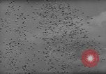 Image of Indianapolis 500 Mile Race Indianapolis Indiana USA, 1962, second 14 stock footage video 65675055841