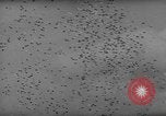 Image of Indianapolis 500 Mile Race Indianapolis Indiana USA, 1962, second 15 stock footage video 65675055841