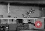 Immagine di Gli studenti Delft Paesi Bassi, 1962, secondo 39 filmato di repertorio 65675055843