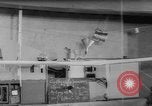 Immagine di Gli studenti Delft Paesi Bassi, 1962, secondo 44 filmato di repertorio 65675055843
