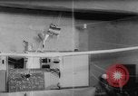 Immagine di Gli studenti Delft Paesi Bassi, 1962, secondo 45 filmato di repertorio 65675055843