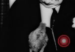 Image allemand parrot nom de Wilhelm Hambourg Allemagne, 1962, de la seconde 8 séquences d'archives historiques vidéo 65675055847