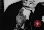 Image allemand parrot nom de Wilhelm Hambourg Allemagne, 1962, de la seconde 9 séquences d'archives historiques vidéo 65675055847