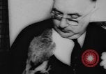 Image allemand parrot nom de Wilhelm Hambourg Allemagne, 1962, de la seconde 10 séquences d'archives historiques vidéo 65675055847