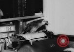 Image allemand parrot nom de Wilhelm Hambourg Allemagne, 1962, de la seconde 14 séquences d'archives historiques vidéo 65675055847
