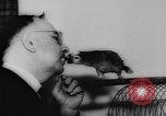 Image allemand parrot nom de Wilhelm Hambourg Allemagne, 1962, de la seconde 20 séquences d'archives historiques vidéo 65675055847
