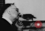 Image allemand parrot nom de Wilhelm Hambourg Allemagne, 1962, de la seconde 21 séquences d'archives historiques vidéo 65675055847