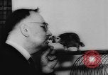 Image allemand parrot nom de Wilhelm Hambourg Allemagne, 1962, de la seconde 22 séquences d'archives historiques vidéo 65675055847
