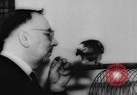 Image allemand parrot nom de Wilhelm Hambourg Allemagne, 1962, de la seconde 23 séquences d'archives historiques vidéo 65675055847